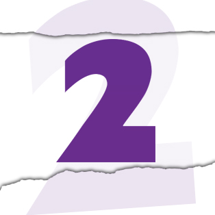 tv2 logo